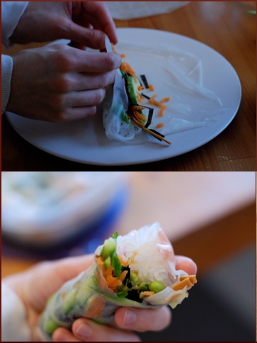 Rice Paper Rolls