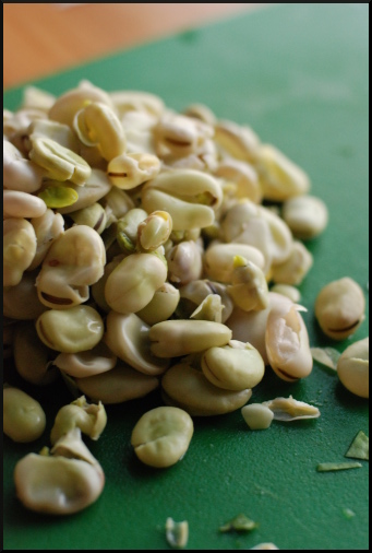 fava-shells fava-shells