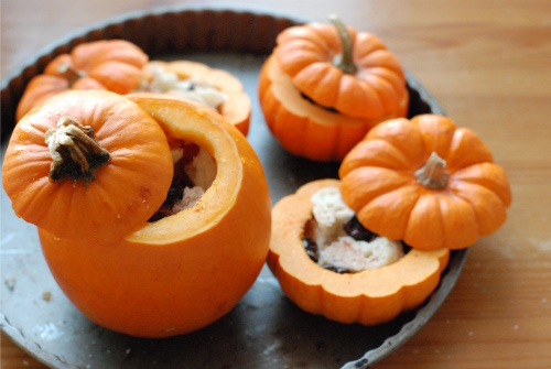 pumpkin1 pumpkin1