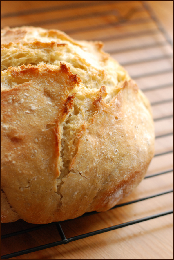 noknead1a