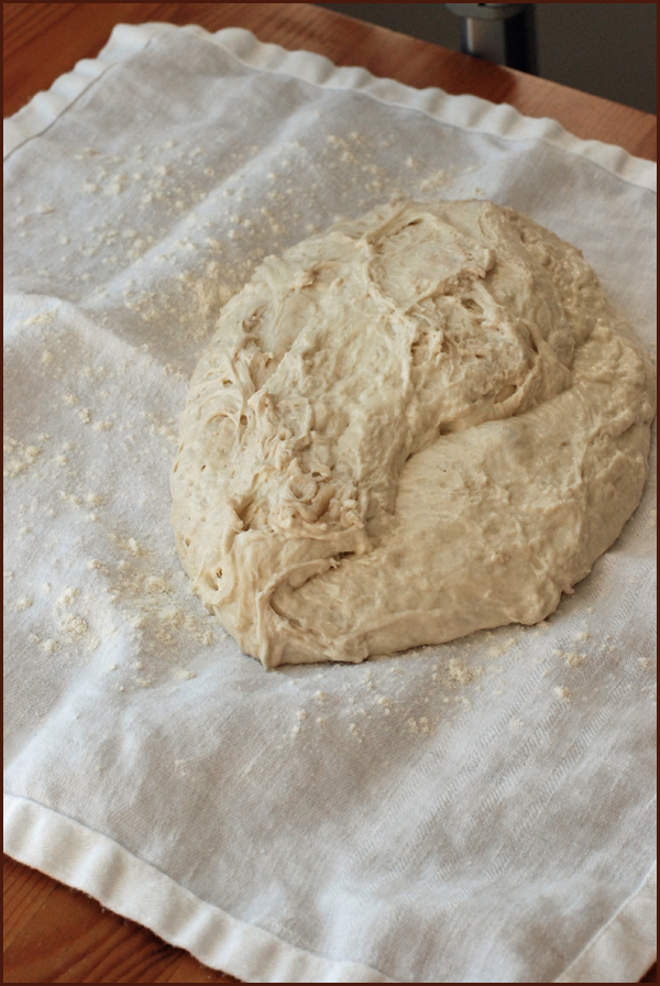 noknead2