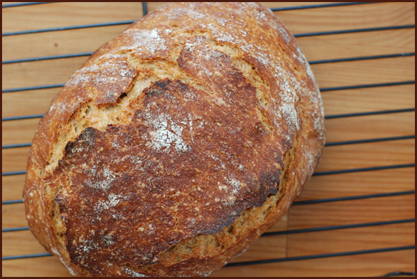noknead4