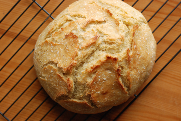noknead5