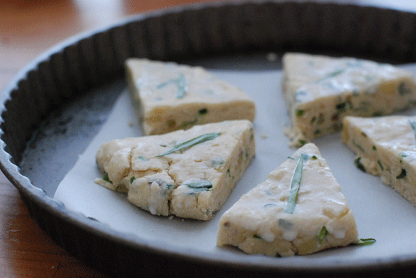 scones4