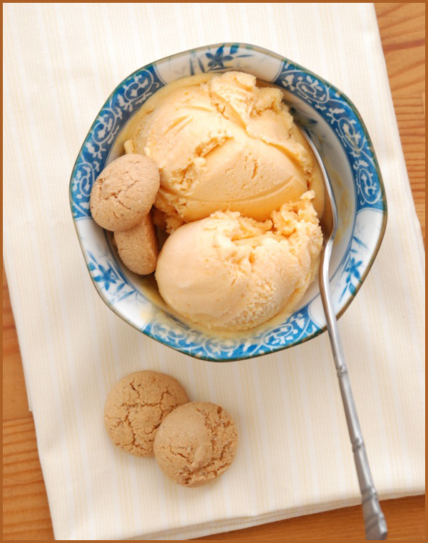 apricot ice cream 1