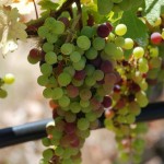 Thumbnail image for Getaways: Northern California (Part 1)