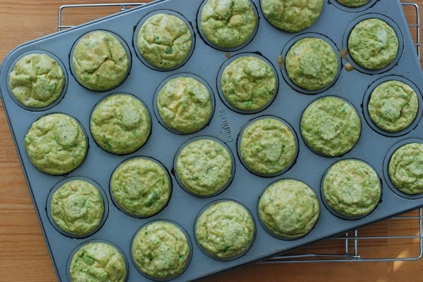 pesto frittata bites