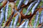 Sardine and Fava Bean Bruschetta